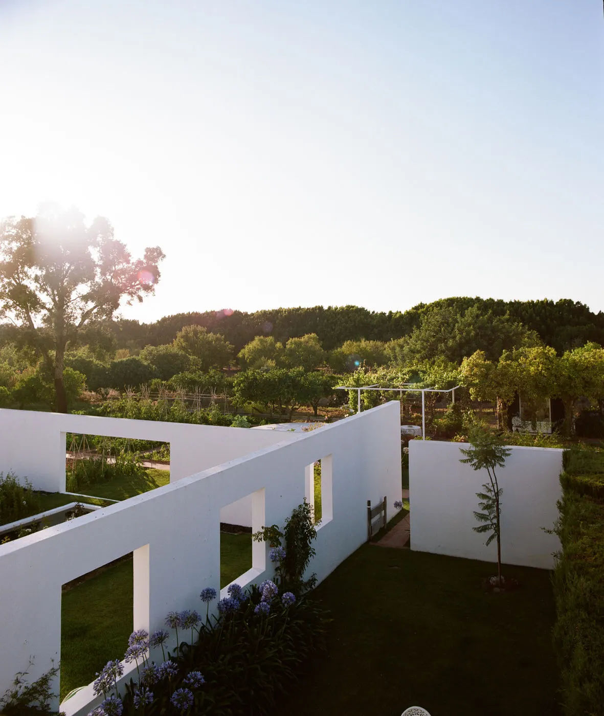 Sun setting over white garden walls