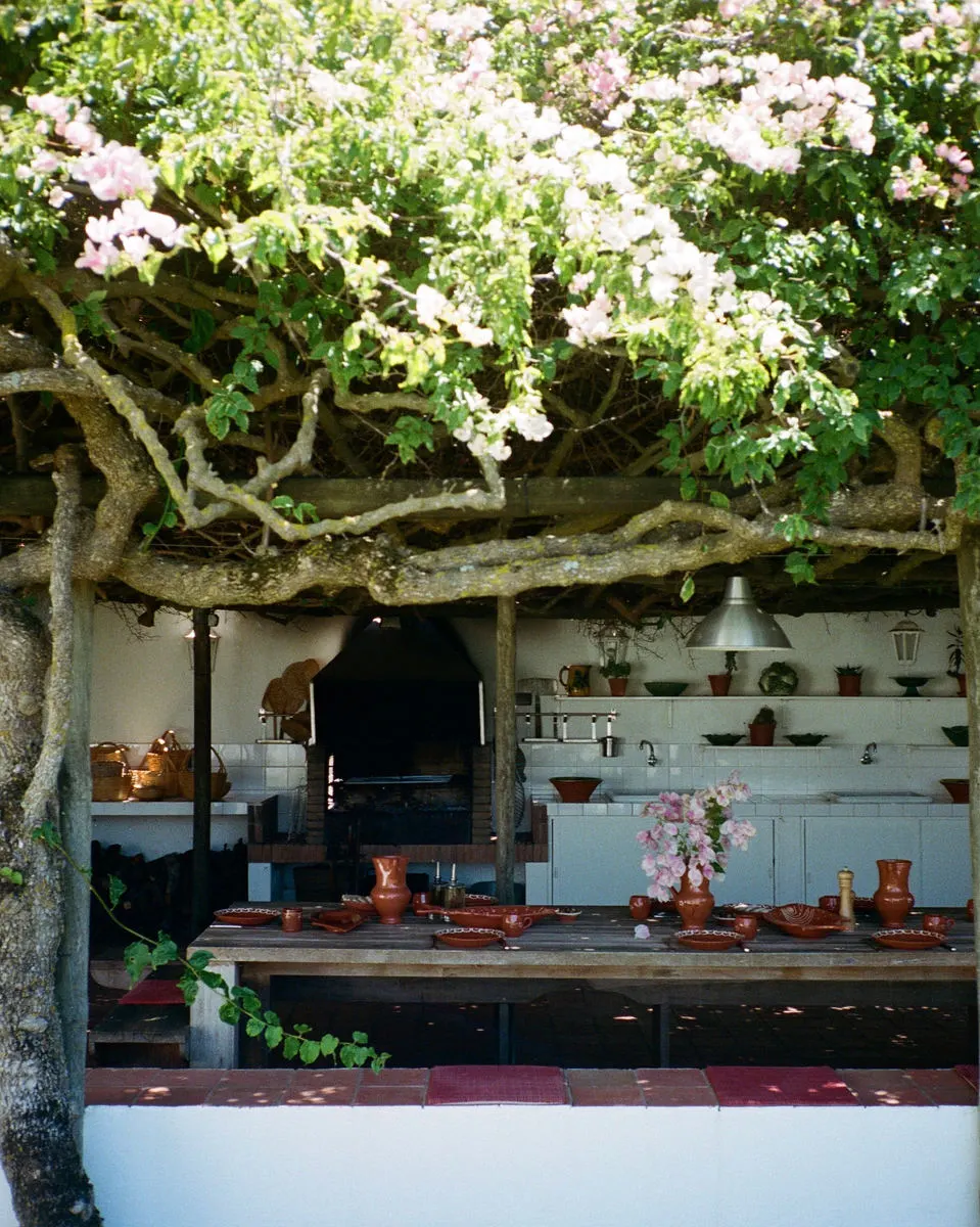 An outdoor kitchen beneath a flowering tree