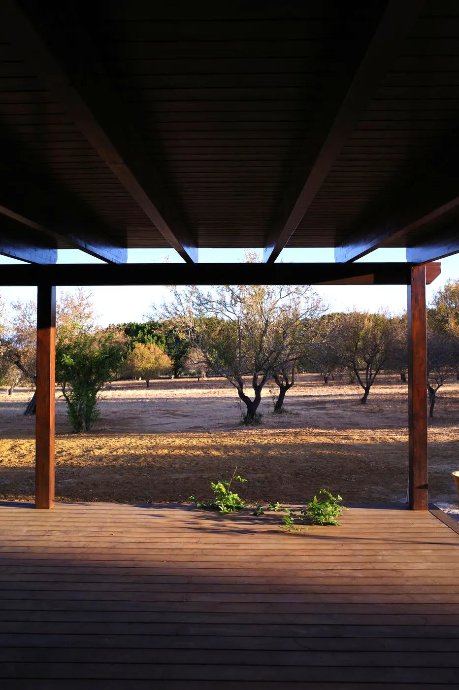 The open-air yoga deck looking out over the olive groves