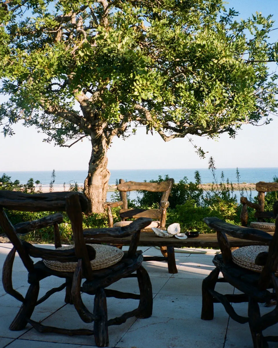 Carved wooden chairs under a tree, the sea beyond